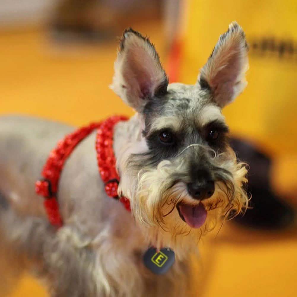 Portable Wireless Key-Finder Everything Else - DailySale