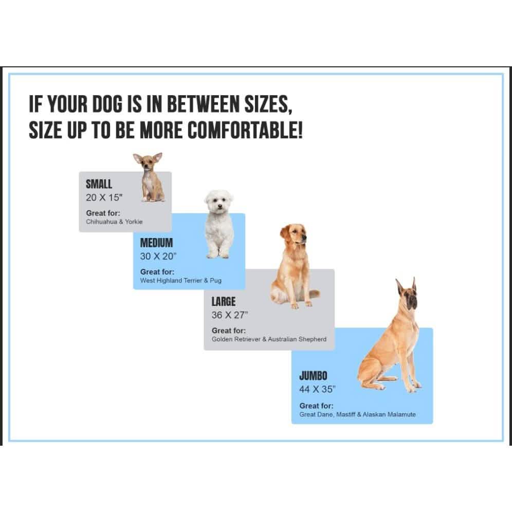 Premium Suede Velvet Orthopedic Dog Bed Pet Supplies - DailySale