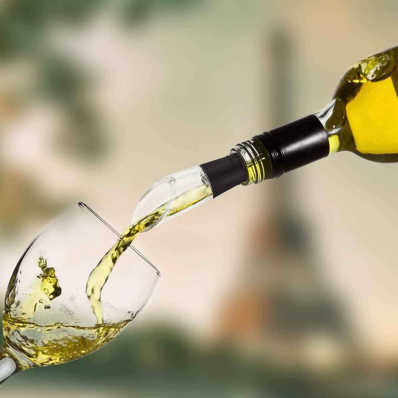 Prep by New Domaine Wine Chilling Stick and Aerator Kitchen & Dining - DailySale