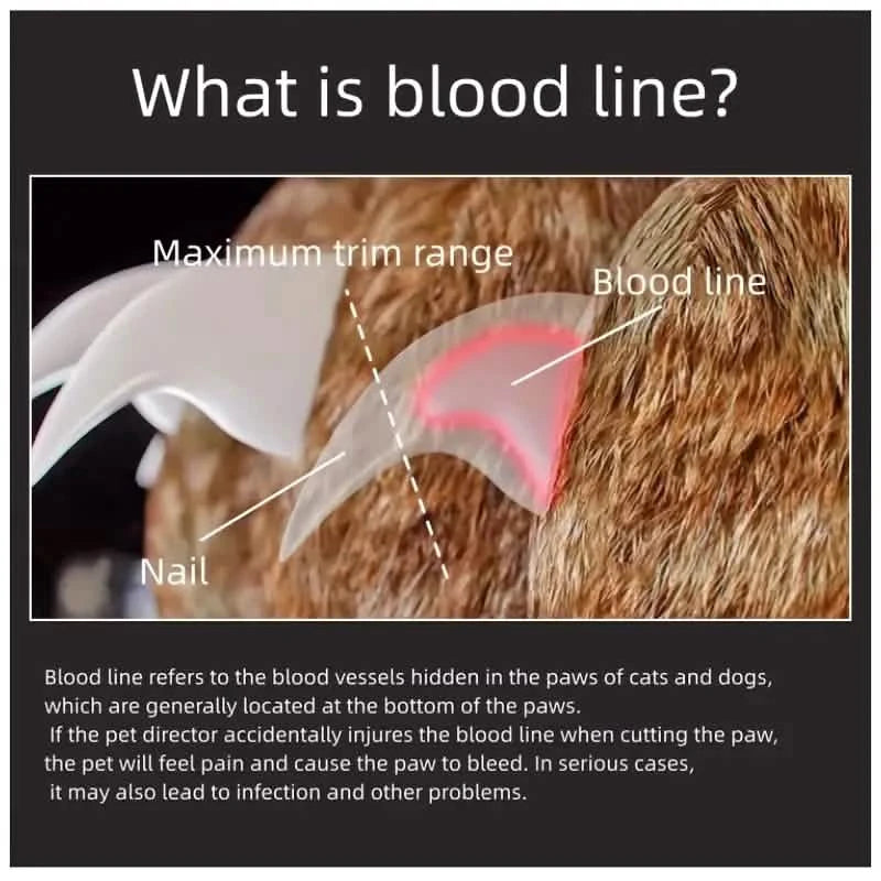 Professional Pet Nail Clipper Scissors Pet Supplies - DailySale