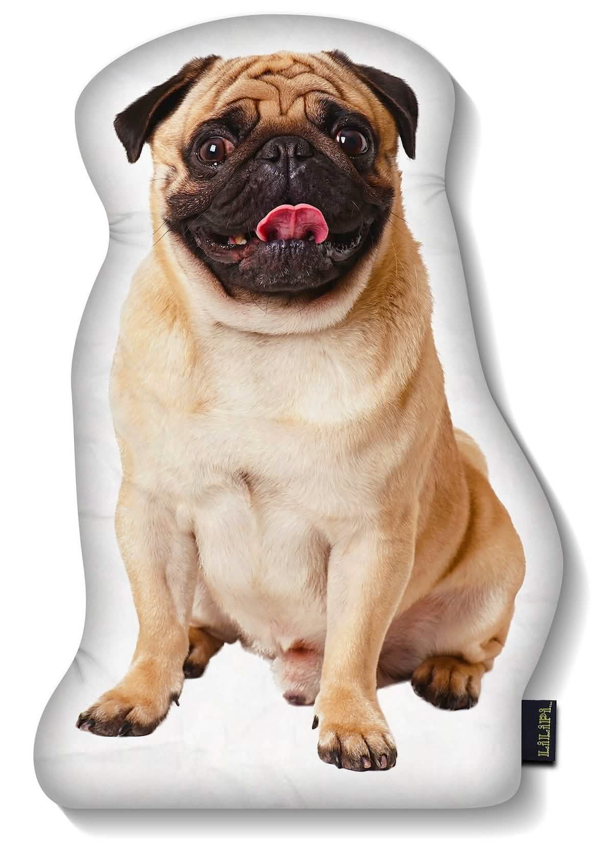 LiLiPi Dog-Shaped Accent Pillow - Assorted Styles - DailySale, Inc