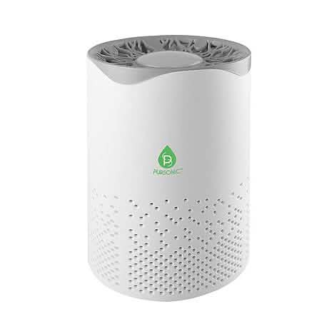 Pursonic USB Powered True Hepa Air Purifier Wellness - DailySale