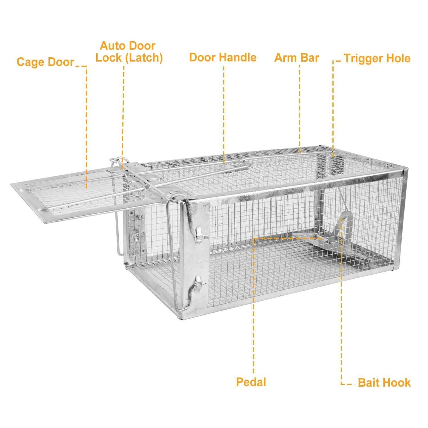Rat Trap Cage Humane Live Rodent Pest Control - DailySale