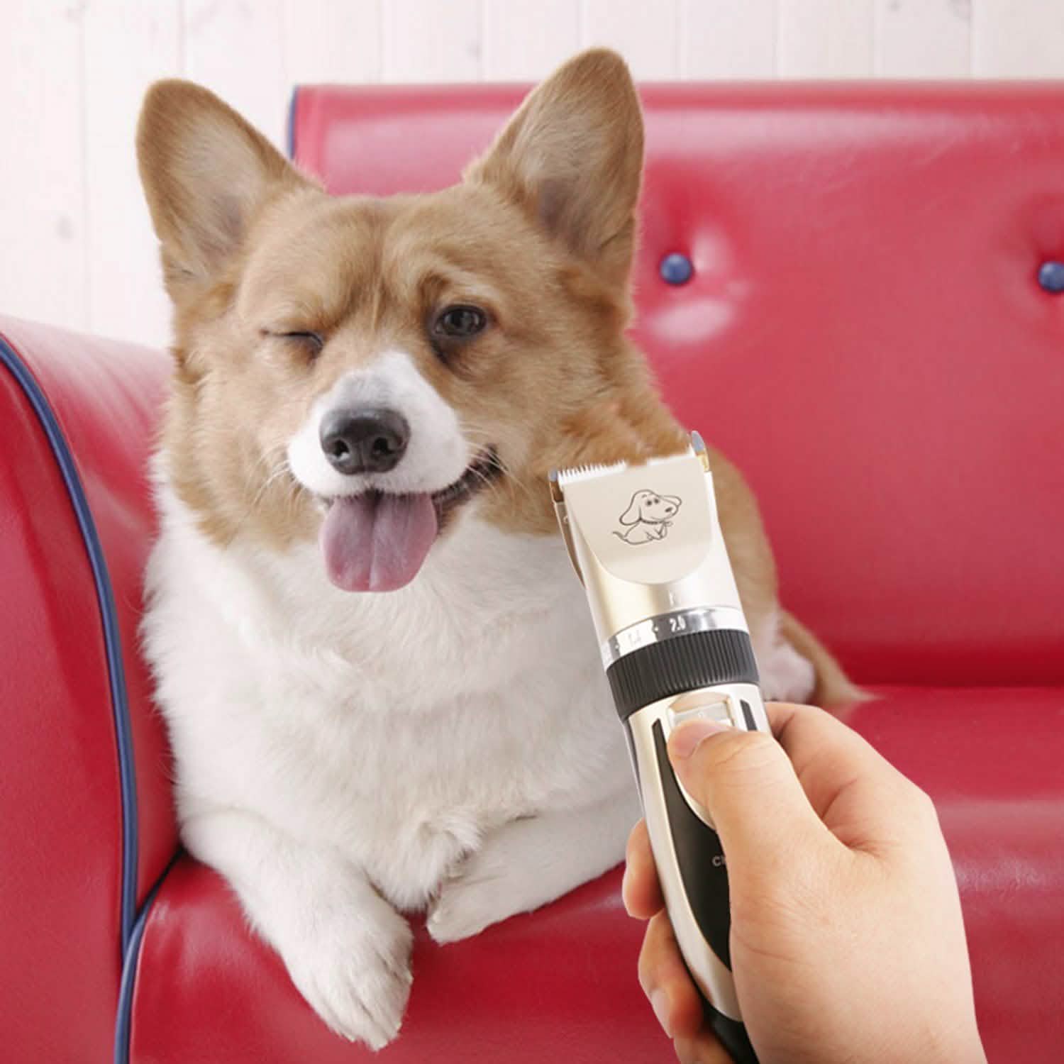 Rechargeable Electric Pet Hair Clipper Pet Supplies - DailySale