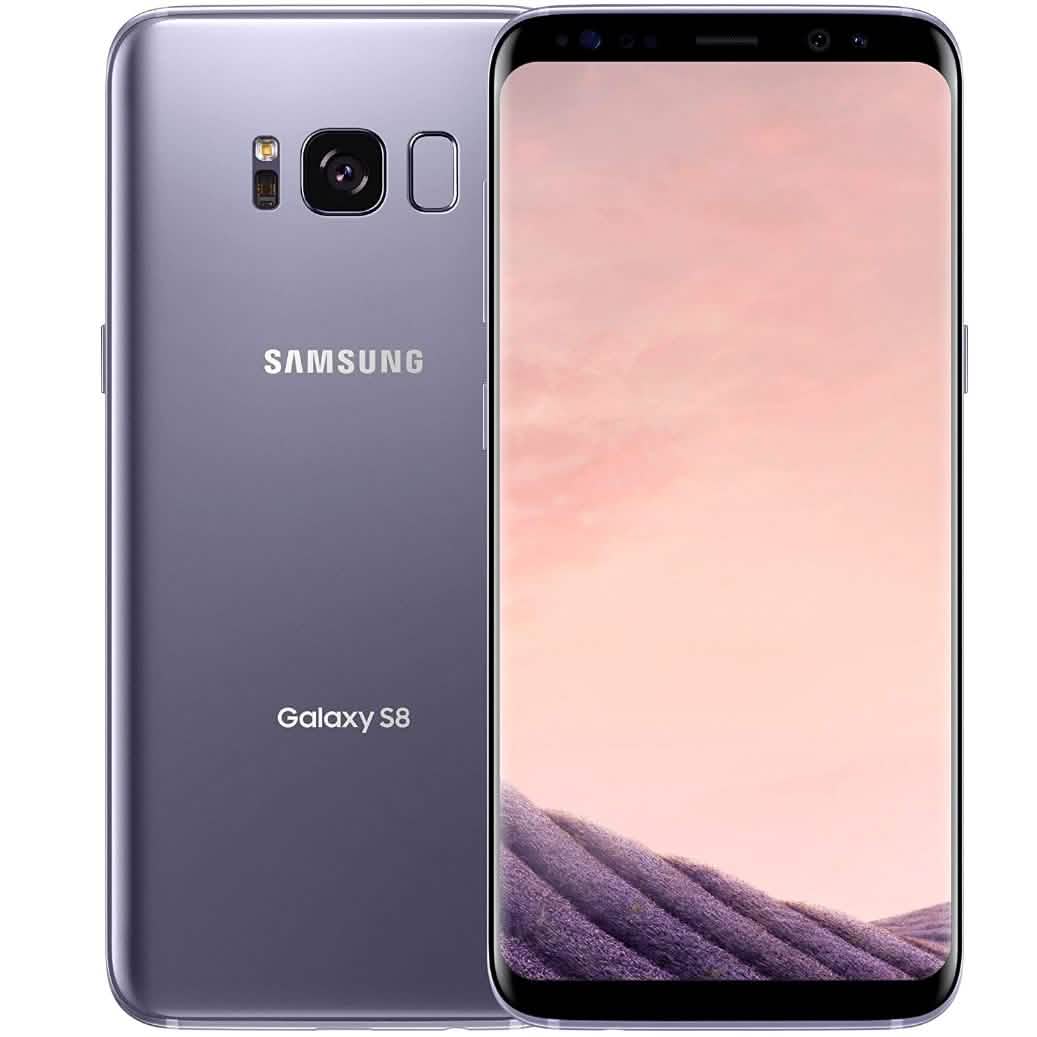 Samsung Galaxy S8 or S8+ Fully Unlocked 64GB Cell Phones Galaxy S8 Gray - DailySale