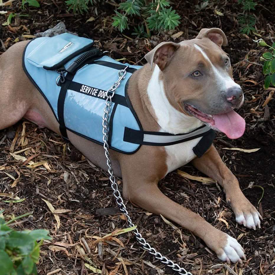 Service Dog Jacket Pet Supplies - DailySale