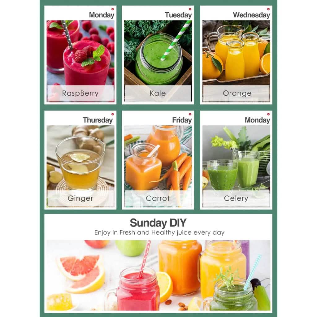 Slow Masticating Juicer Extractor Cold Press Juicer with Brush Kitchen Appliances - DailySale