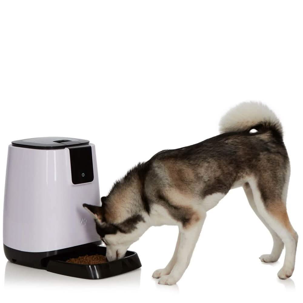 Smart Programmable Automatic Feeder for Pets Pet Supplies - DailySale