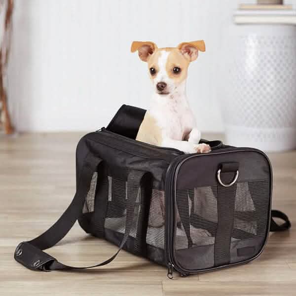 Soft-Sided Mesh Pet Travel Carrier Pet Supplies - DailySale