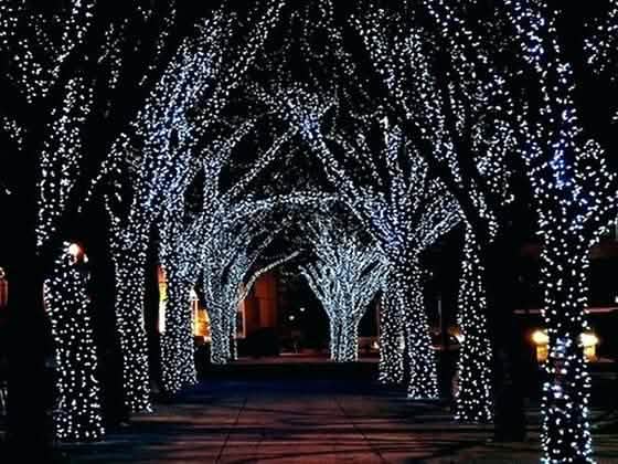 Solar-Powered 100 LED Fairy Light String - Assorted Colors Home Lighting - DailySale