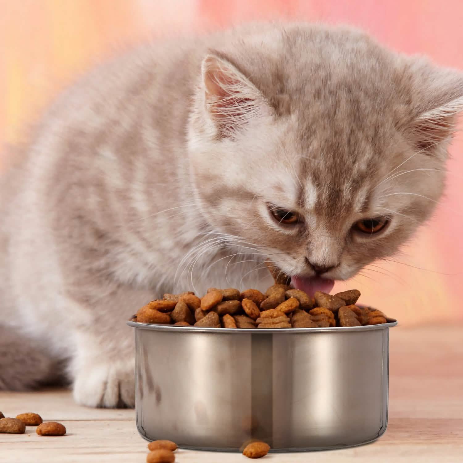 Stainless Steel Dog Pet Bowl Pet Supplies - DailySale