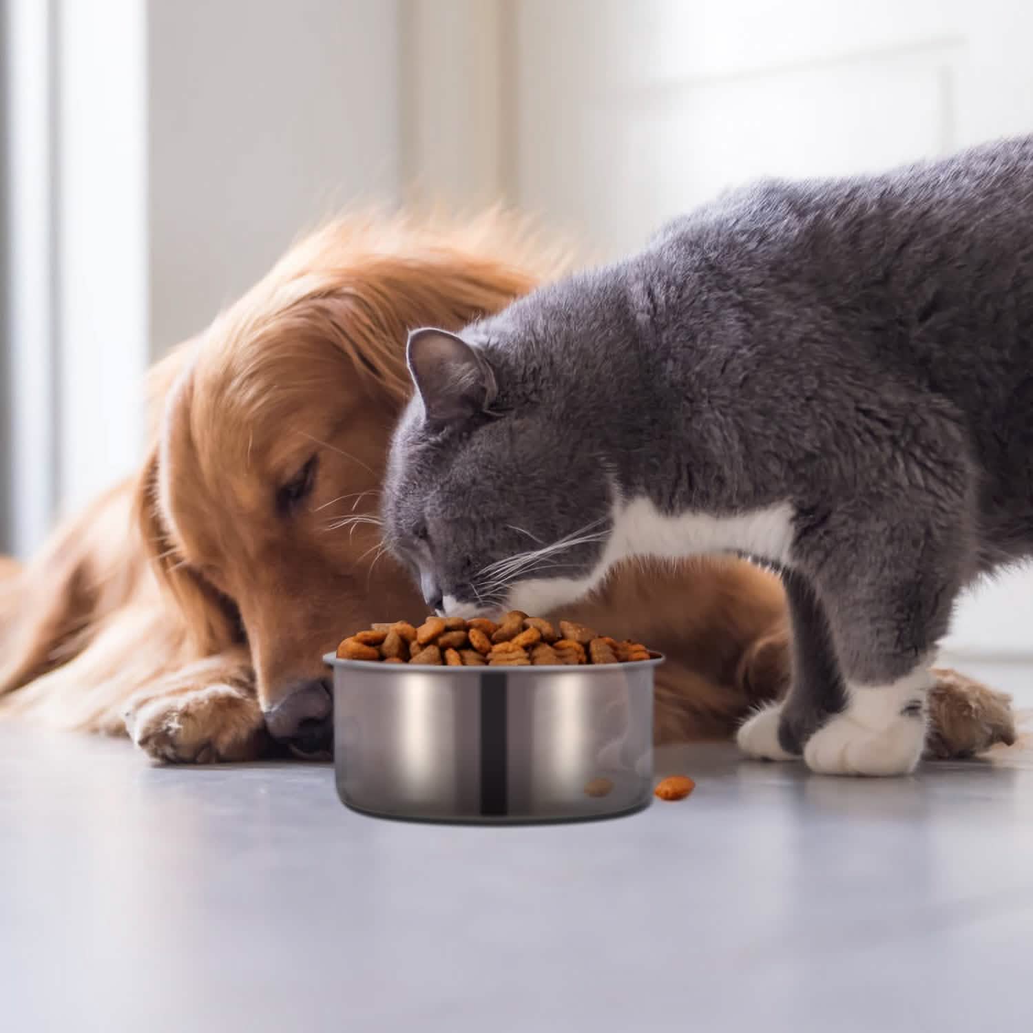 Stainless Steel Dog Pet Bowl Pet Supplies - DailySale