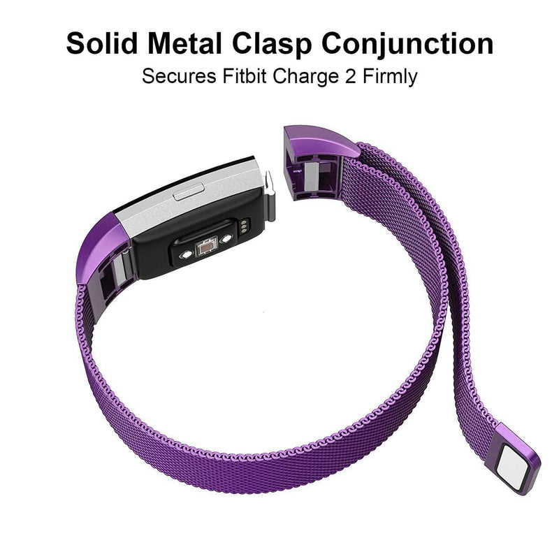 #color_purple