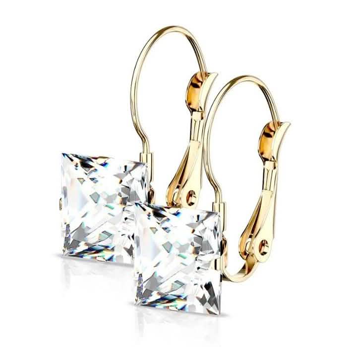Stainless Steel Square CZ Gem Earrings Earrings Gold - DailySale