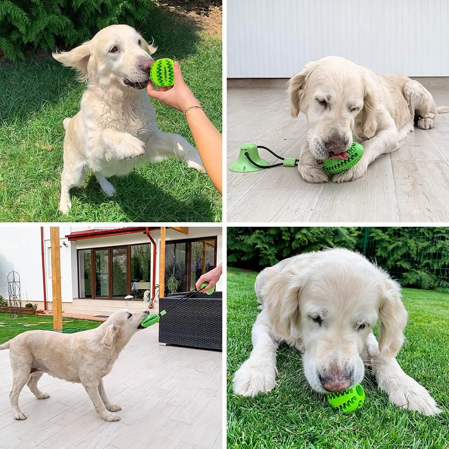 Suction Cup and Play IQ Toy Treat Ball Pet Supplies - DailySale