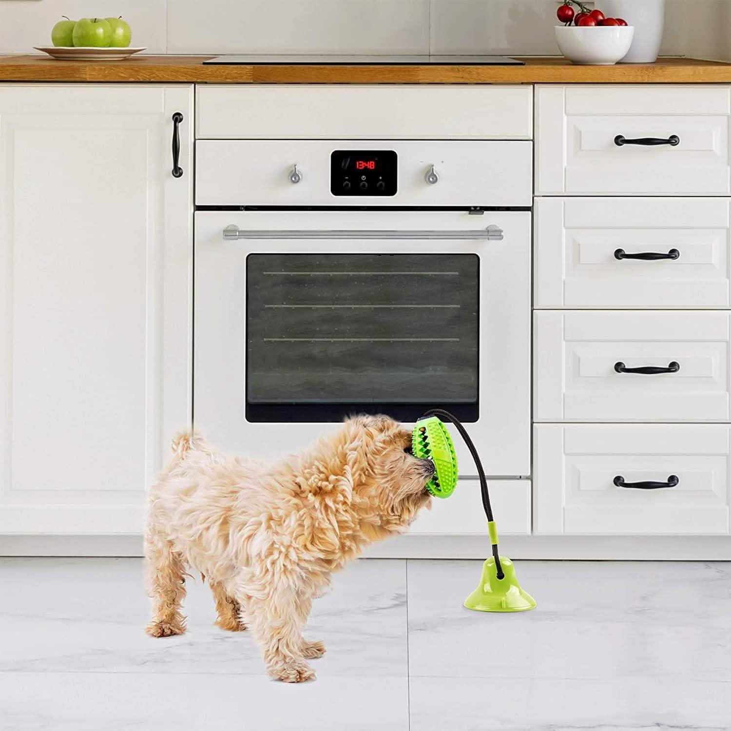 Suction Cup and Play IQ Toy Treat Ball Pet Supplies - DailySale