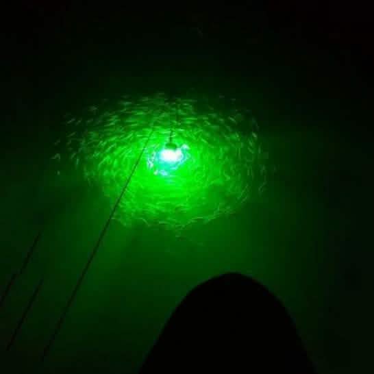 Sunbeam LED Fishing Light Sports & Outdoors - DailySale