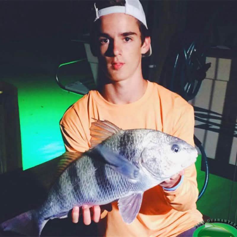 Sunbeam LED Fishing Light Sports & Outdoors - DailySale