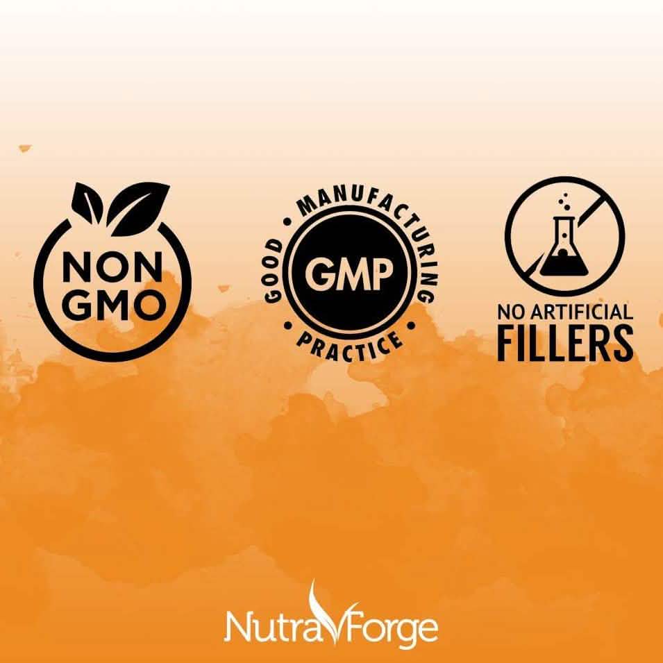 Turmeric Curcumin with BioPerine Wellness & Fitness - DailySale