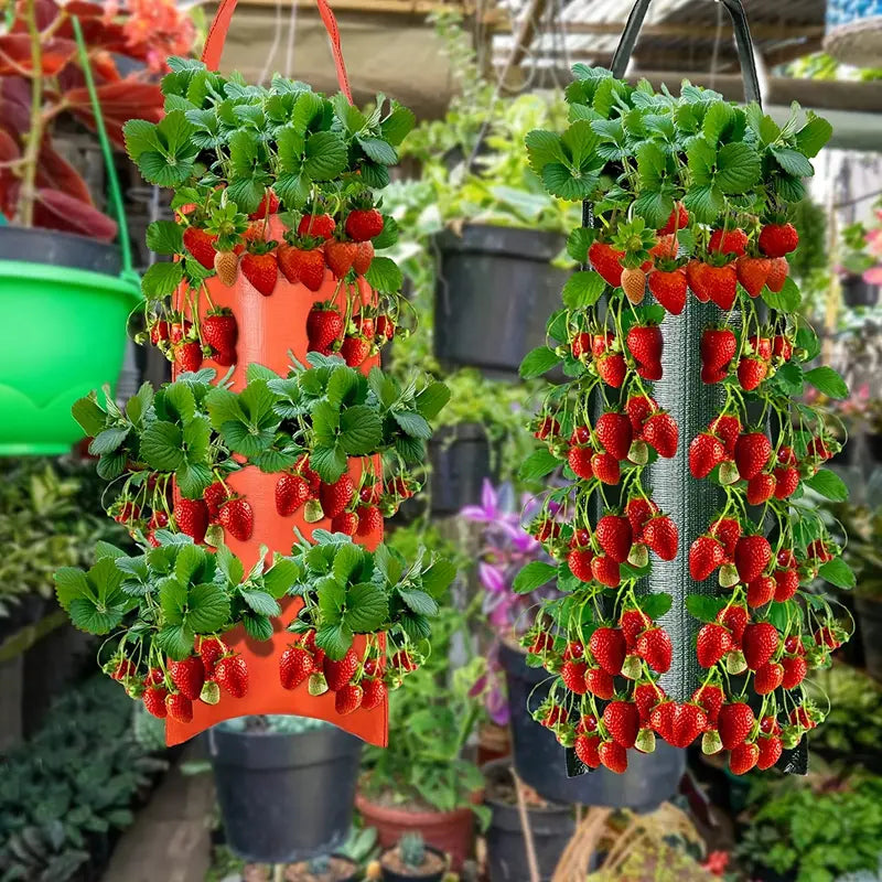 Upside Down Tomato Grow Bag Garden & Patio - DailySale