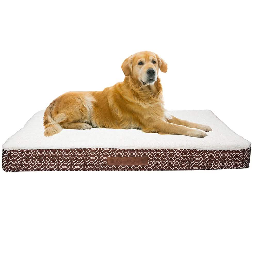 Wags & Whiskers Memory Foam Pet Bed - Assorted Styles Pet Supplies - DailySale