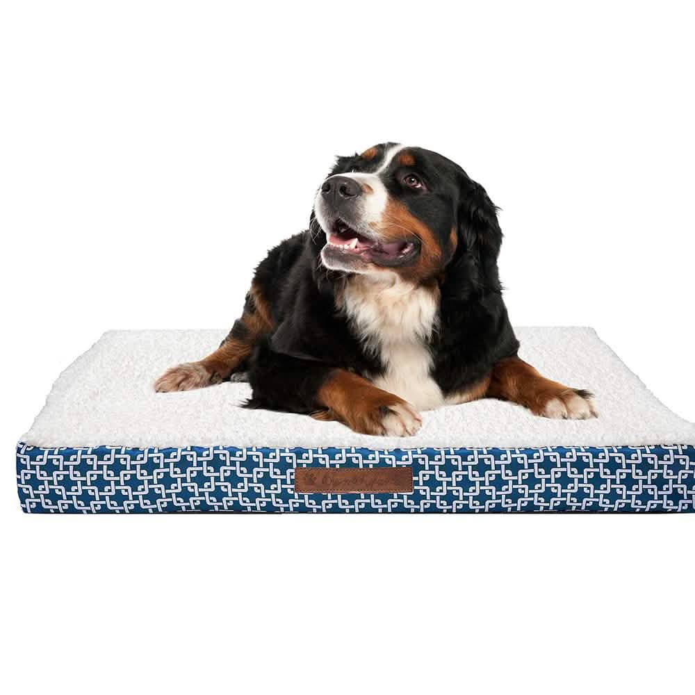 Wags & Whiskers Memory Foam Pet Bed - Assorted Styles Pet Supplies - DailySale