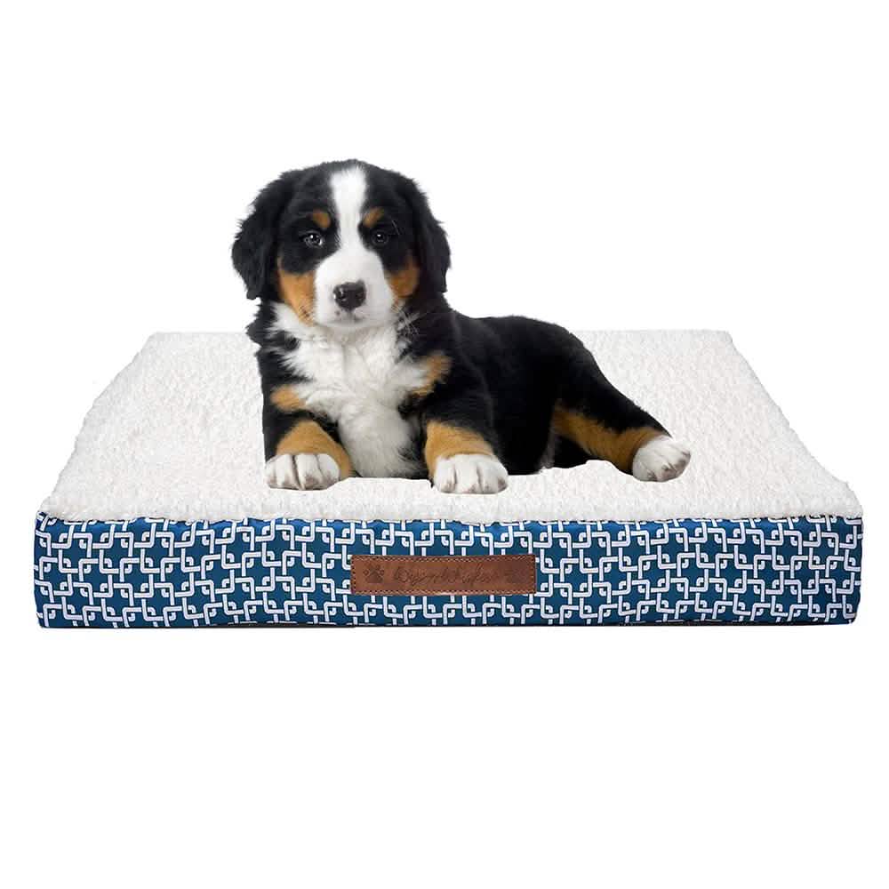 Wags & Whiskers Memory Foam Pet Bed - Assorted Styles Pet Supplies - DailySale