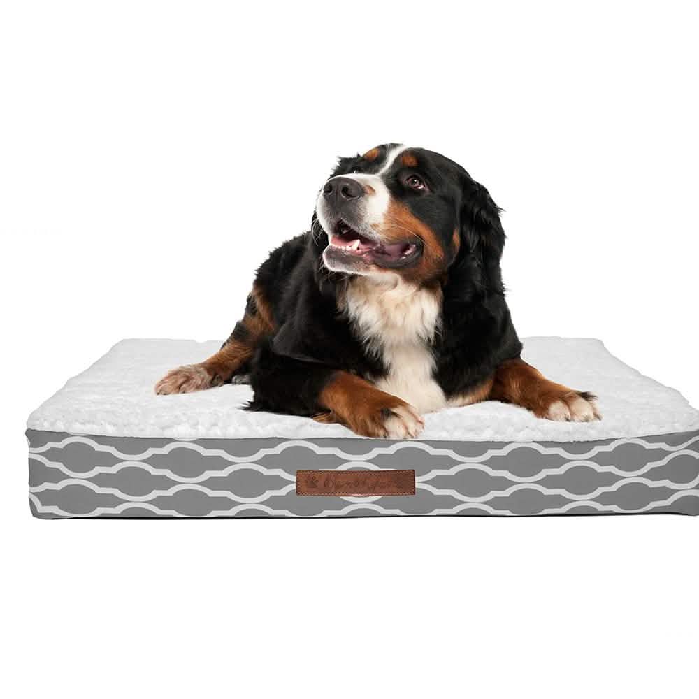 Wags & Whiskers Memory Foam Pet Bed - Assorted Styles Pet Supplies - DailySale