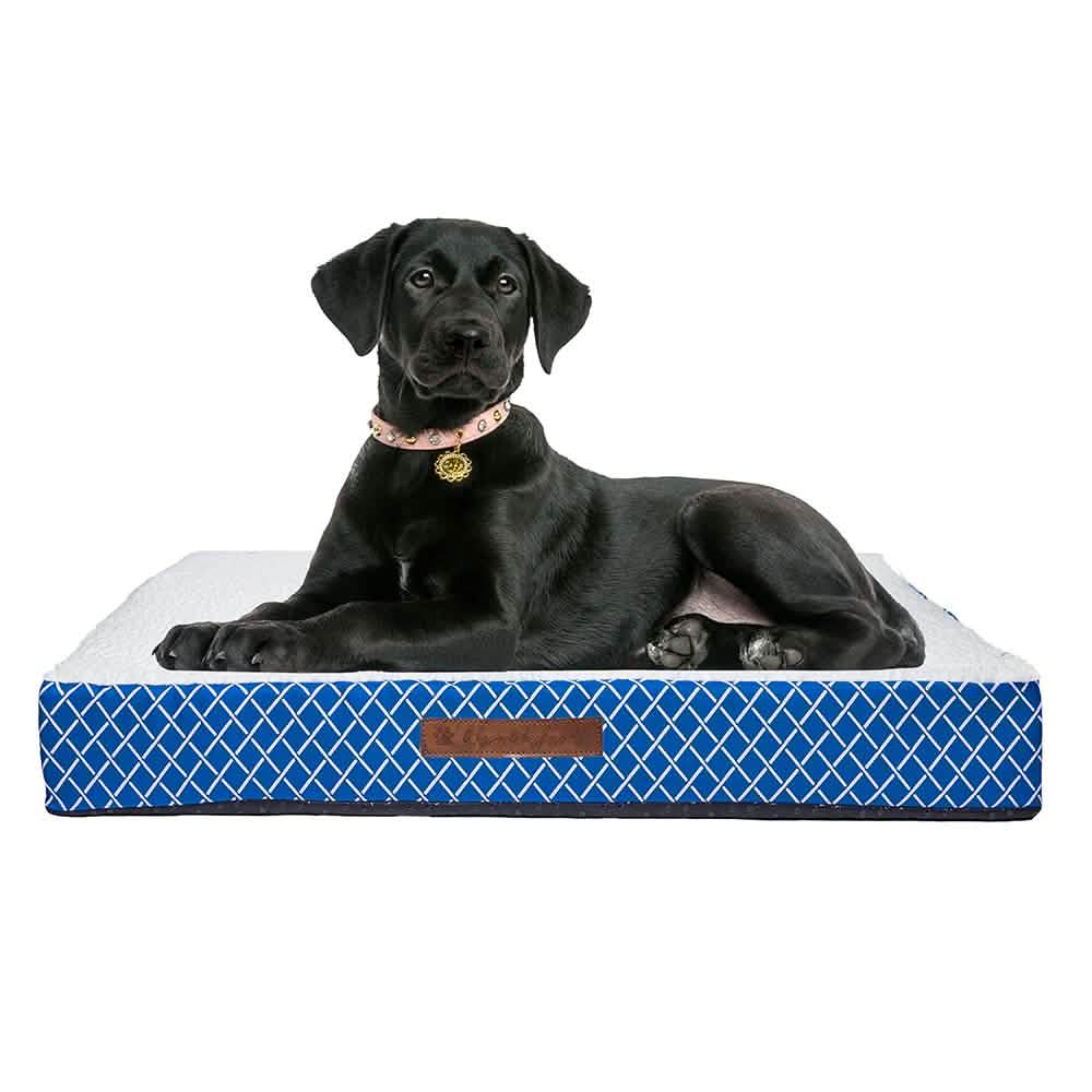 Wags & Whiskers Memory Foam Pet Bed - Assorted Styles Pet Supplies - DailySale
