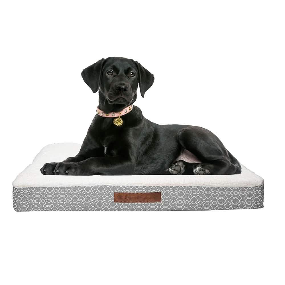 Wags & Whiskers Memory Foam Pet Bed - Assorted Styles Pet Supplies - DailySale