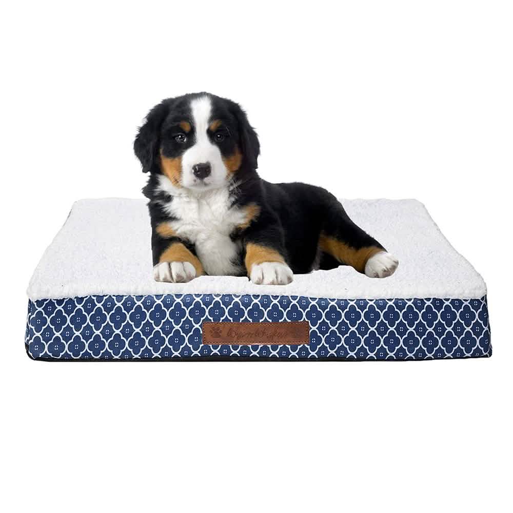 Wags & Whiskers Memory Foam Pet Bed Assorted Styles