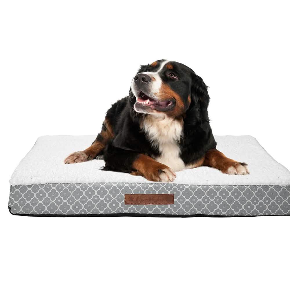 Wags & Whiskers Memory Foam Pet Bed - Assorted Styles Pet Supplies - DailySale