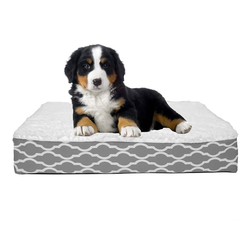 Wags & Whiskers Memory Foam Pet Bed - Assorted Styles Pet Supplies - DailySale