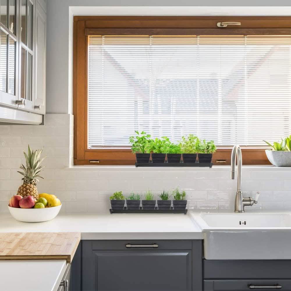 Windowsill Garden Herb Kit Garden & Patio - DailySale