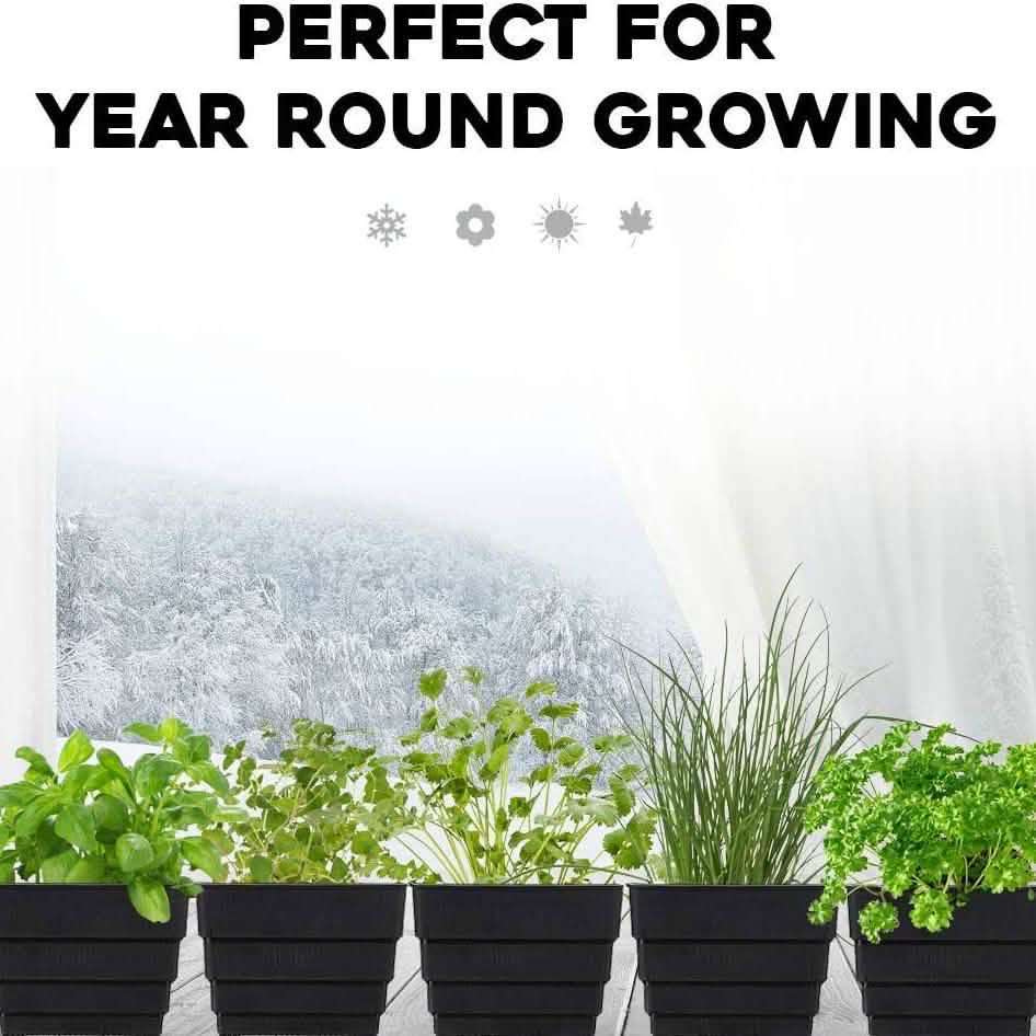 Windowsill Garden Herb Kit Garden & Patio - DailySale