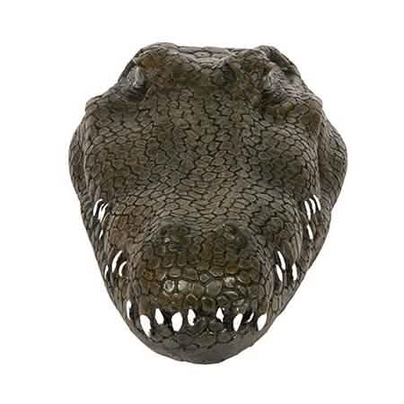 #style_crocodile head