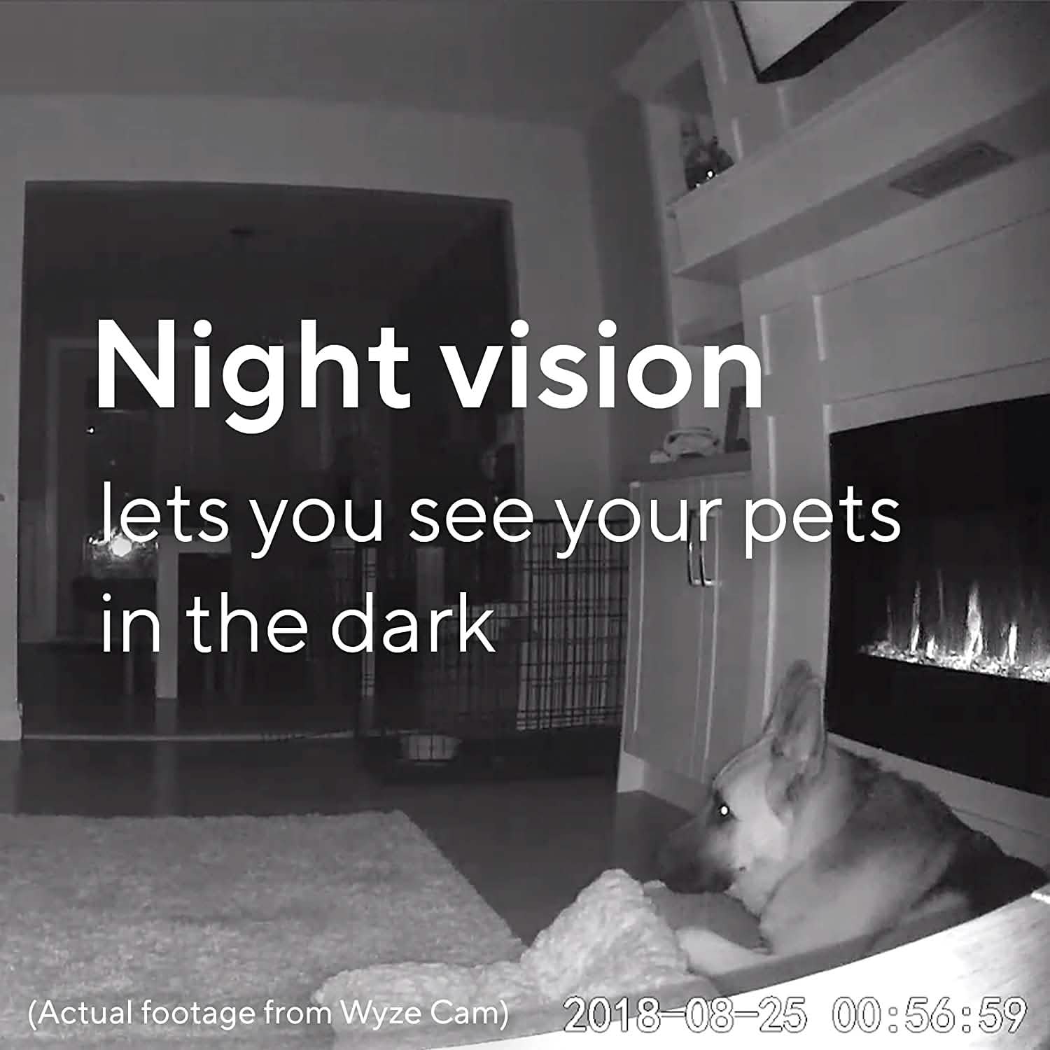 Wyze Cam Black V2 Cameras & Surveillance - DailySale