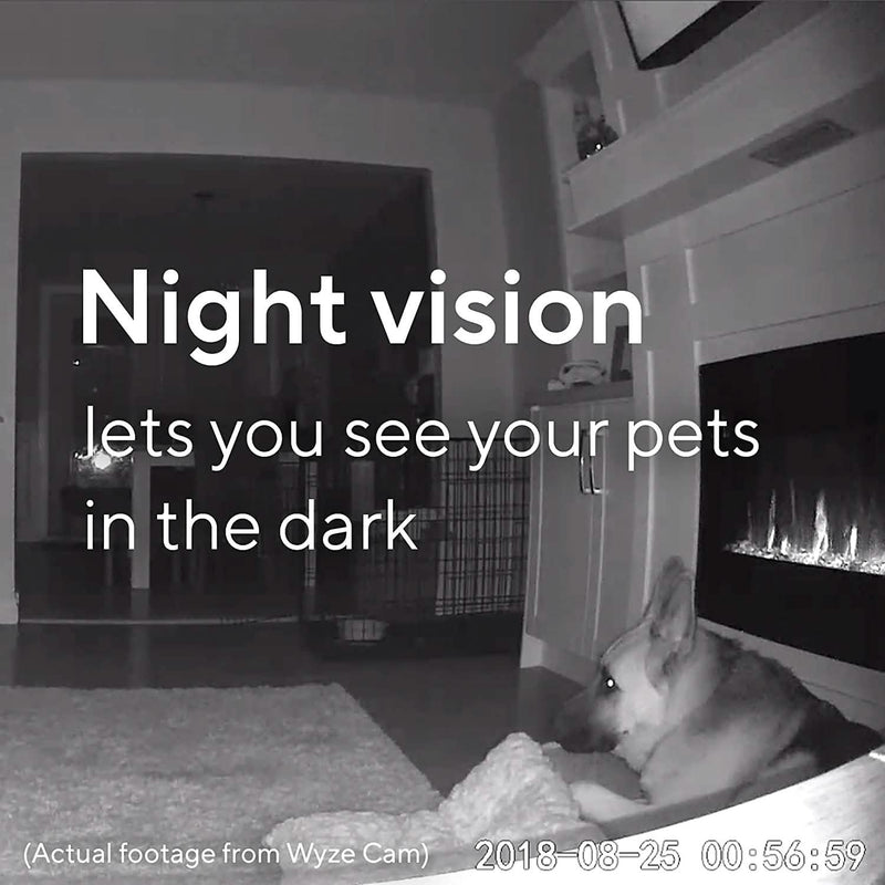 Wyze Cam Black V2 Cameras & Surveillance - DailySale