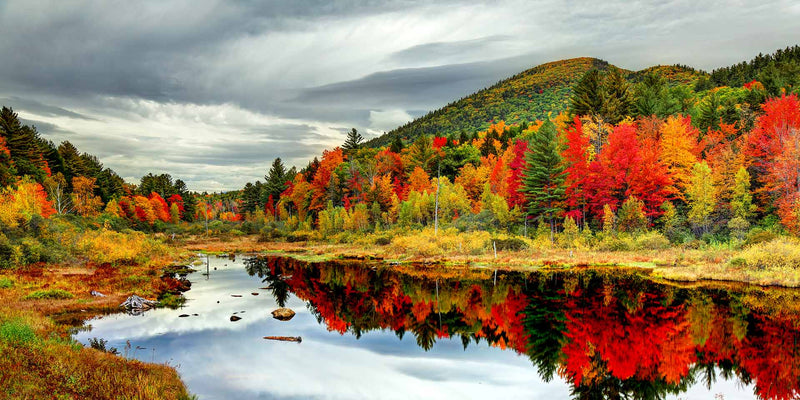 9 Handy Tips for Gorgeous Fall Foliage Photographs