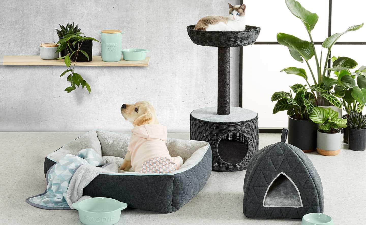 Best Pet Items on the Market (That Your Pet Wants & Needs!)