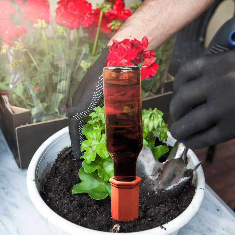 10-Pack: Spikes Teracotta Plant Watering Device Garden & Patio - DailySale