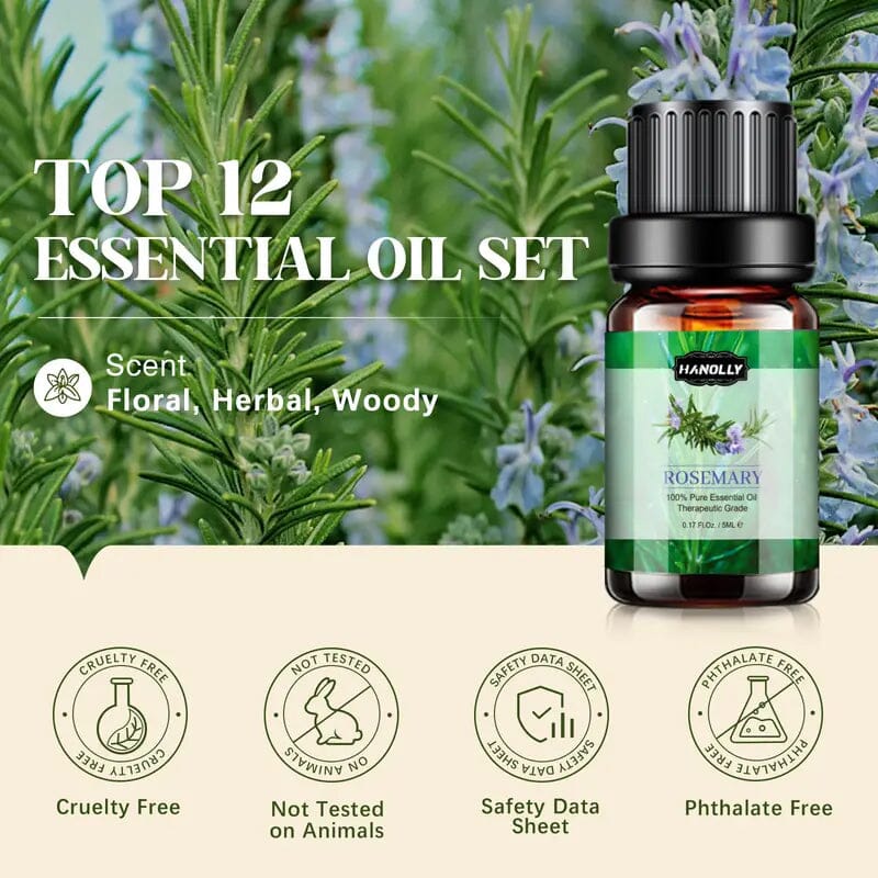 12-Pack: Aromatherapy Essential Oil Kit for Diffuser Wellness - DailySale