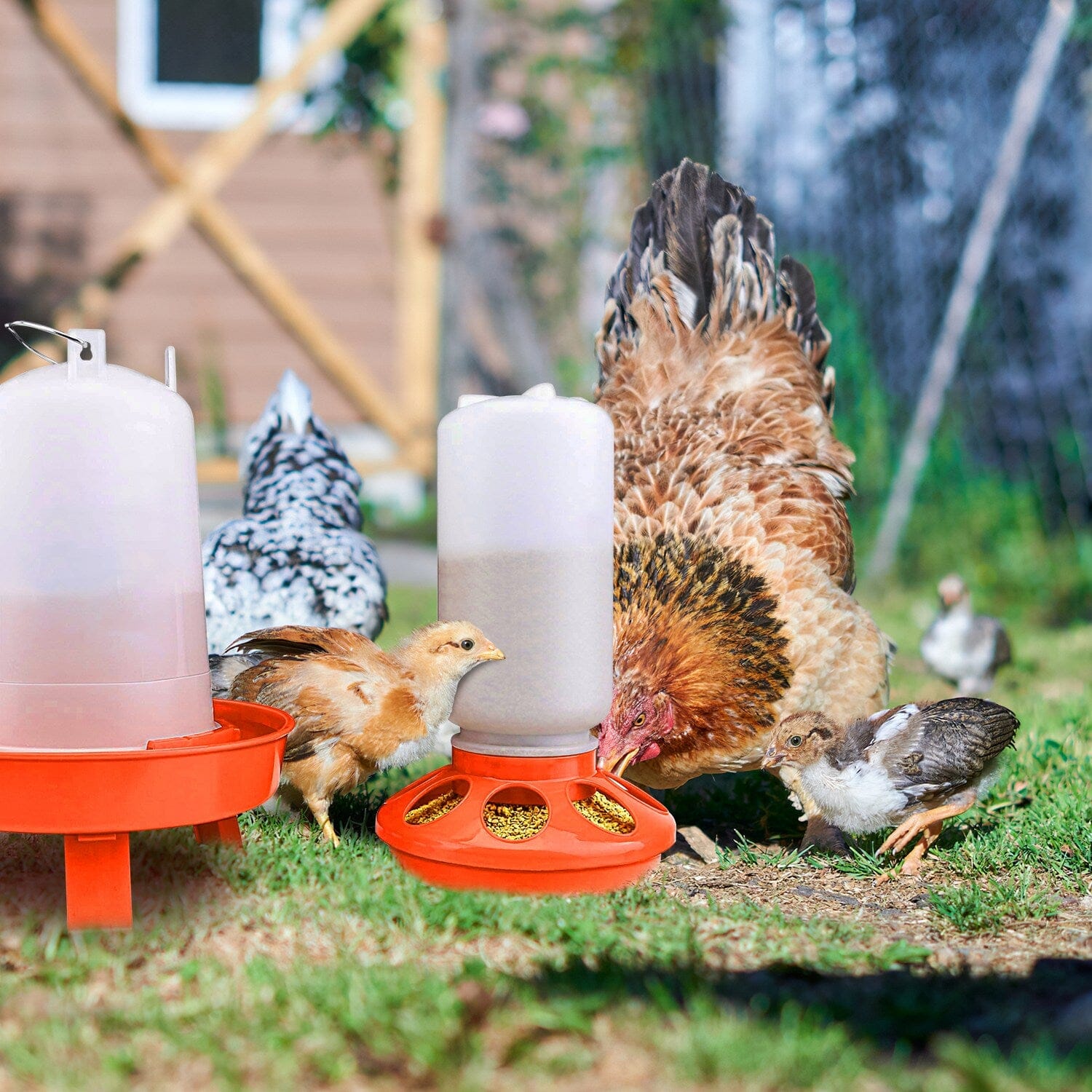 1.5L Chicken Feeder Adjustable Height Waterer Set Pet Supplies - DailySale