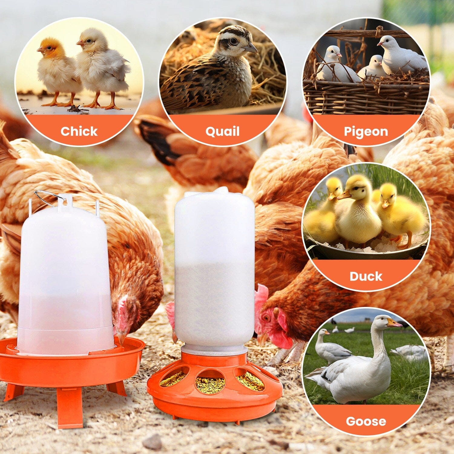 1.5L Chicken Feeder Adjustable Height Waterer Set Pet Supplies - DailySale