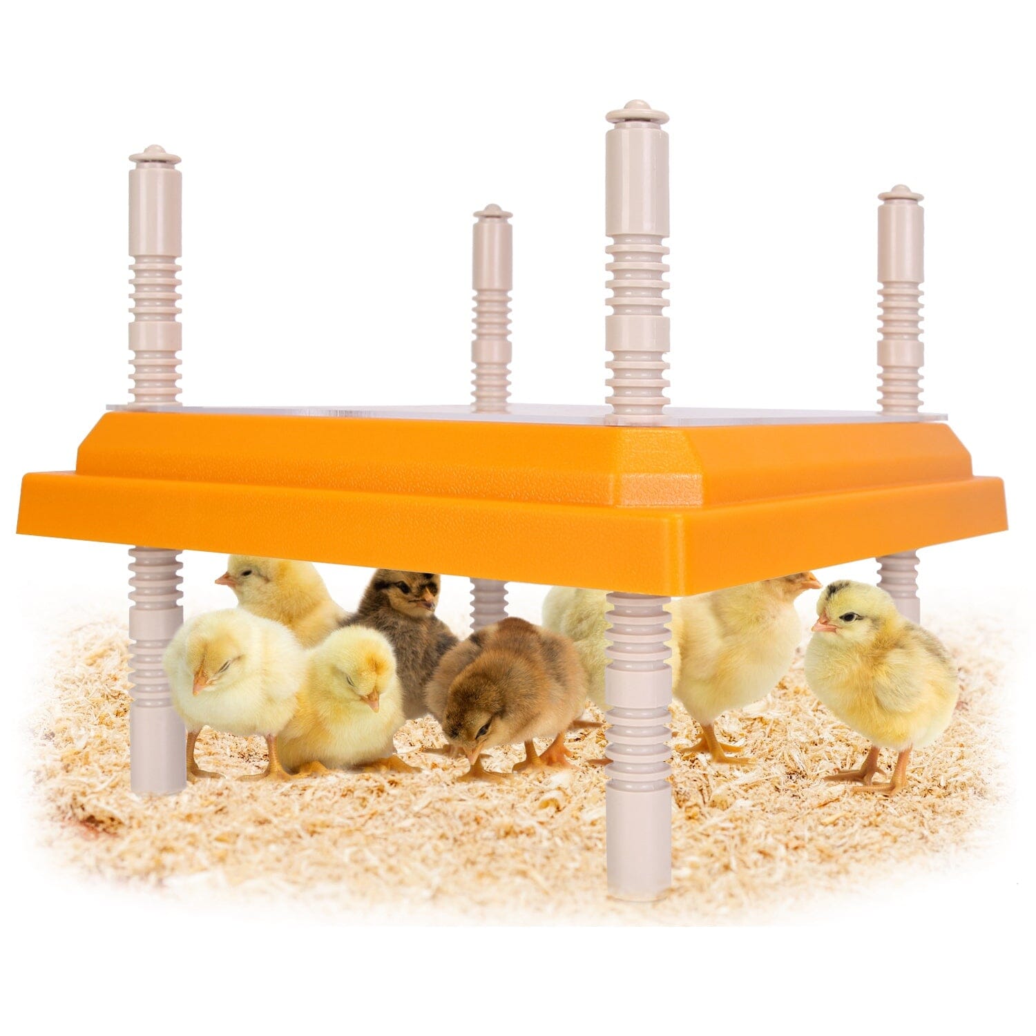 15W Chicken Brooder Heater with Adjustable Height Angle Max 131℉ Pet Supplies - DailySale