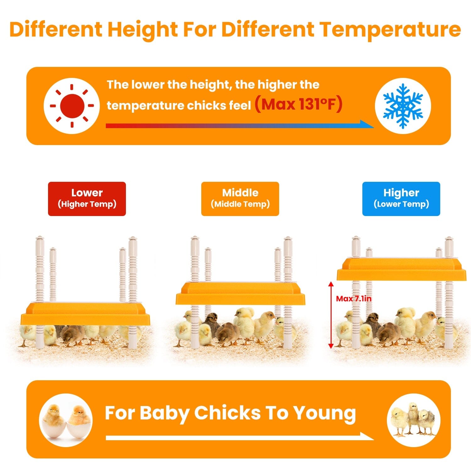 15W Chicken Brooder Heater with Adjustable Height Angle Max 131℉ Pet Supplies - DailySale