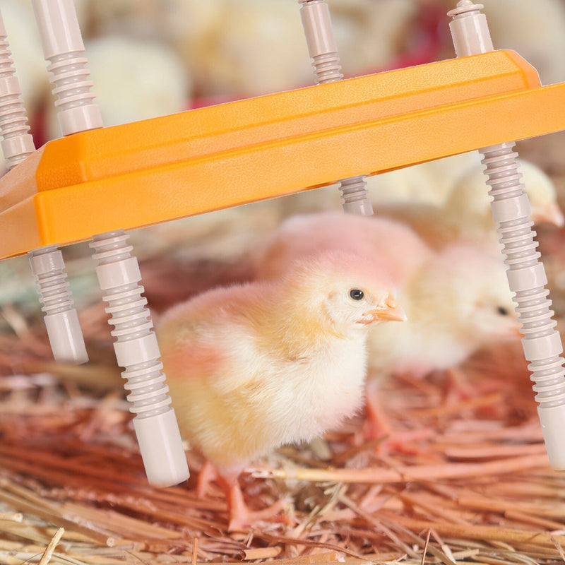 15W Chicken Brooder Heater with Adjustable Height Angle Max 131℉ Pet Supplies - DailySale