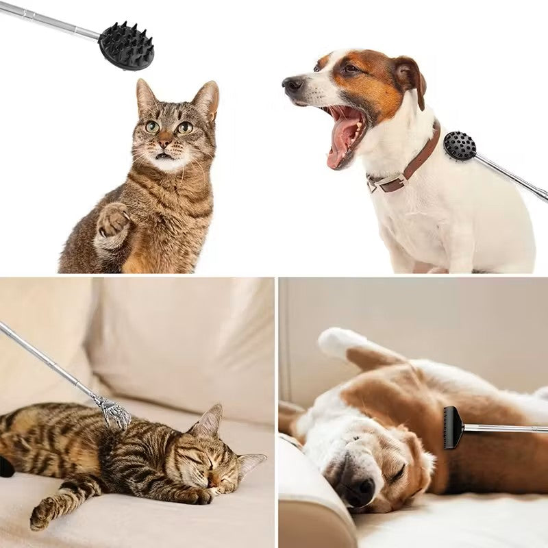 Retractable Cactus Back Scratcher – Long Handle, Durable PVC