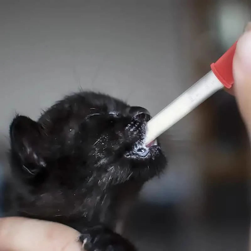 10-Pack Colorful Silicone Eye Droppers – Crafts, Gummy Making, Candy Molds