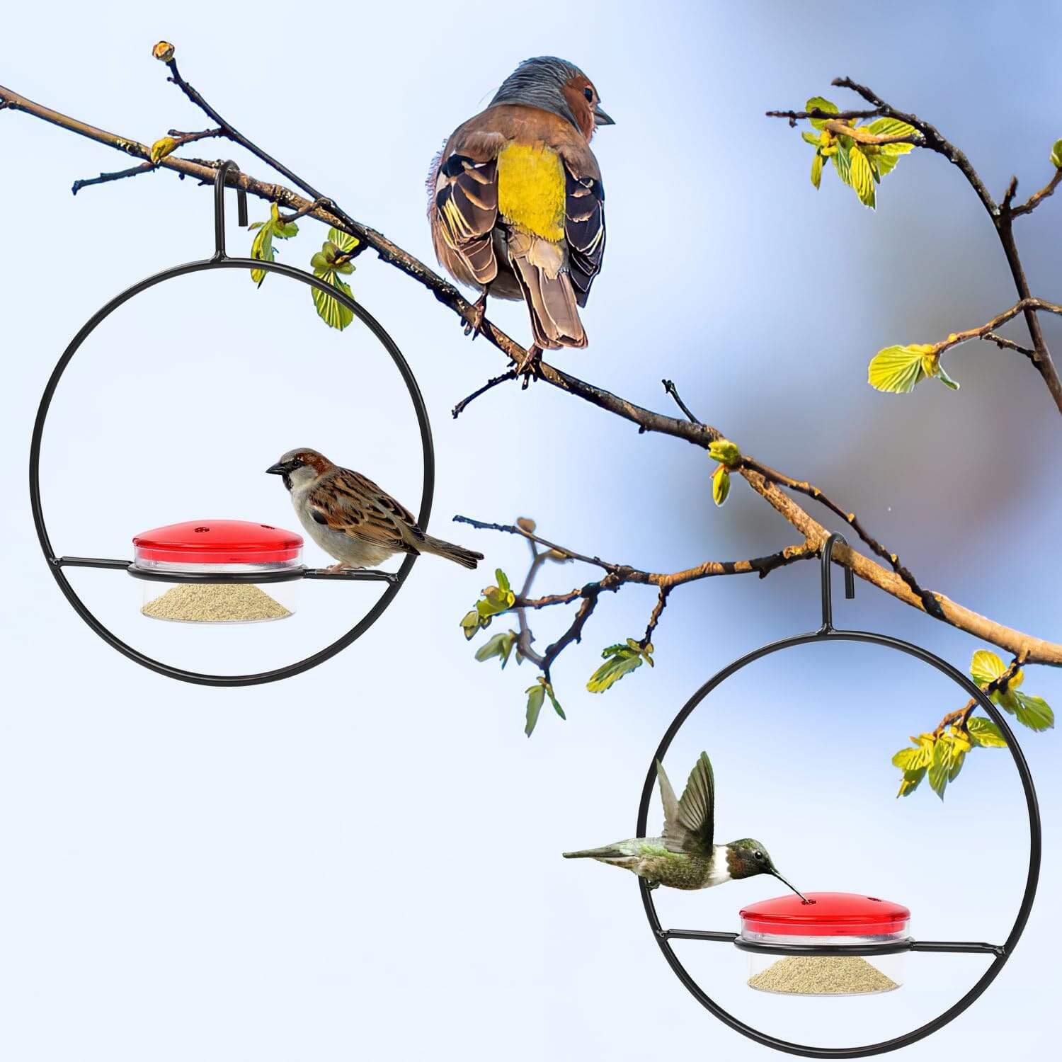 3-Pieces: Stackable Hanging Humming Bird Feeder with Metal Frame & Red Plastic Bowl Pet Supplies - DailySale